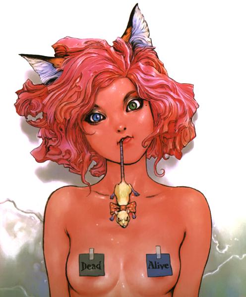 TERADA COVER GIRLS PORTFOLIO